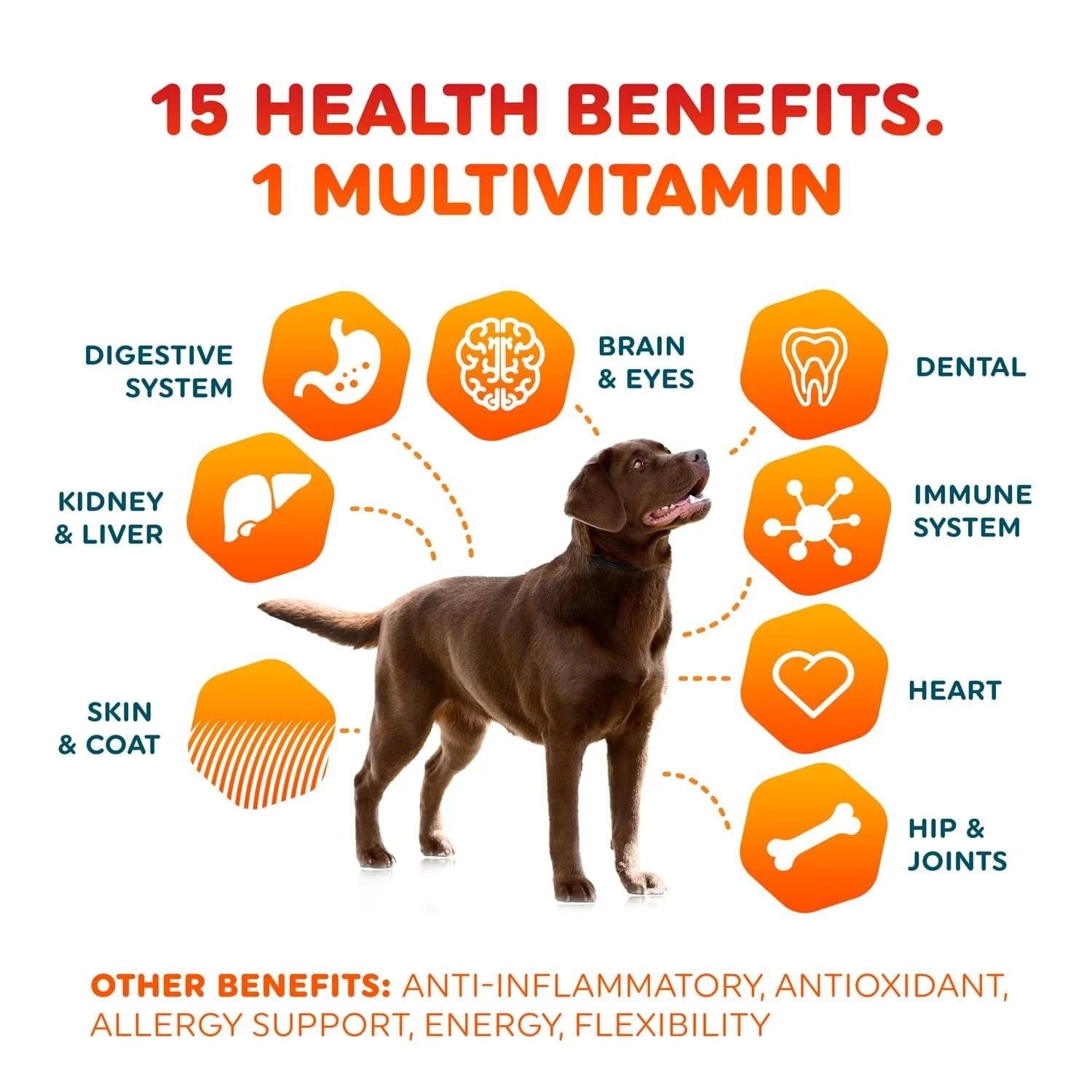 Primova 15-in-1 Multivitamin for dogs